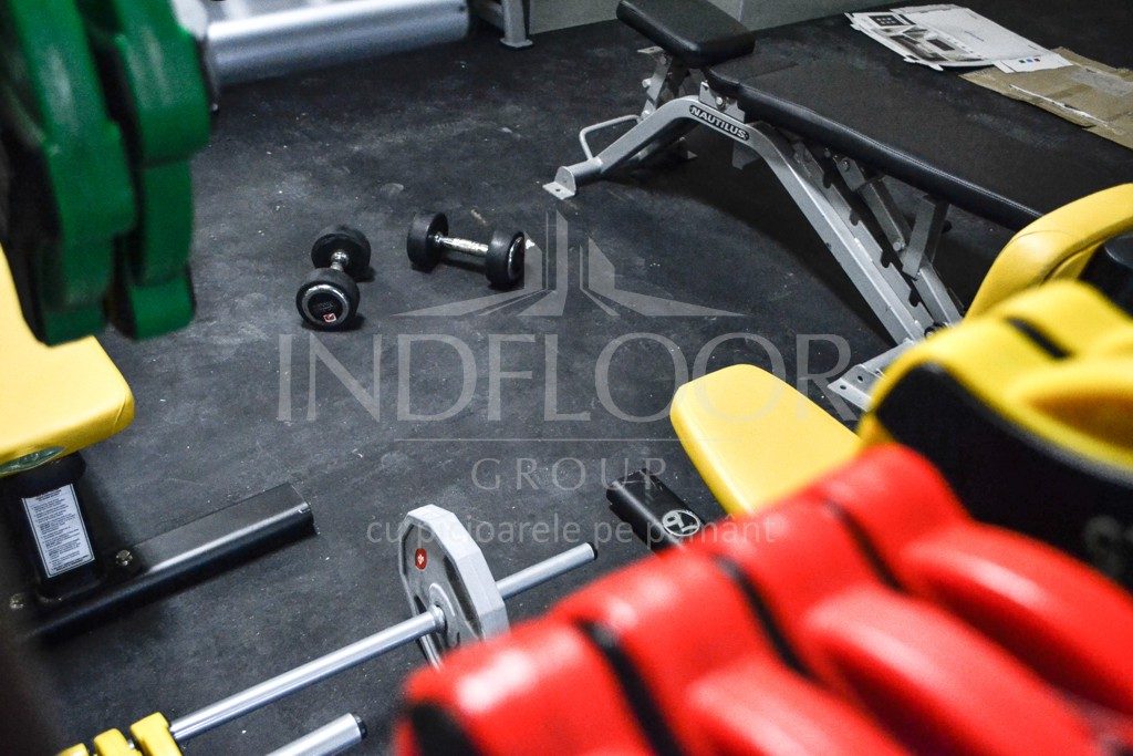 dale fitness