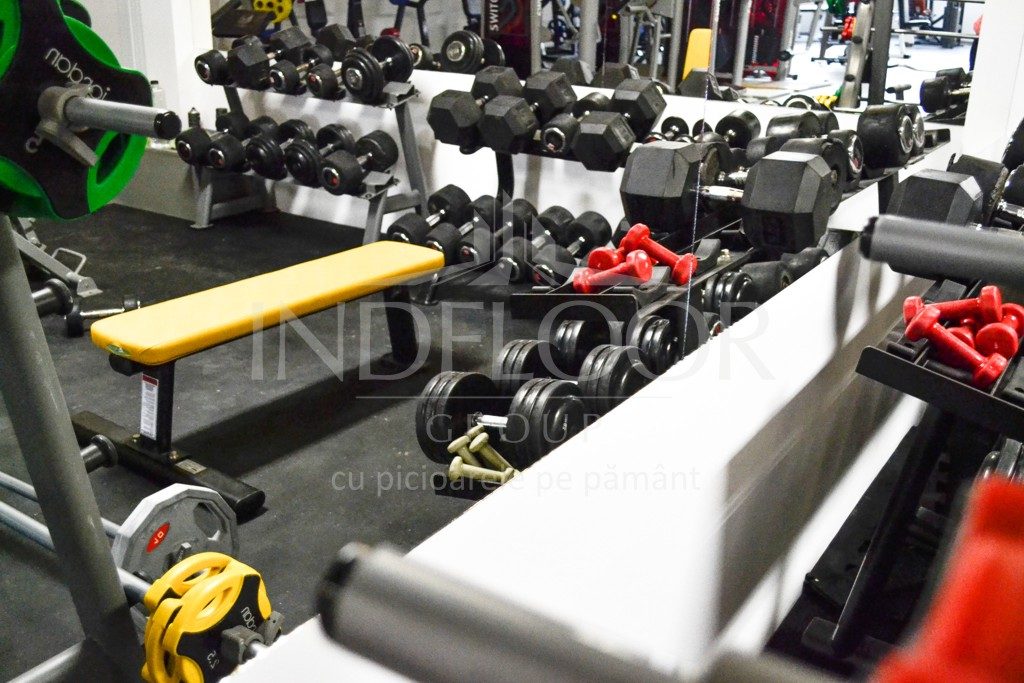 dale fitness