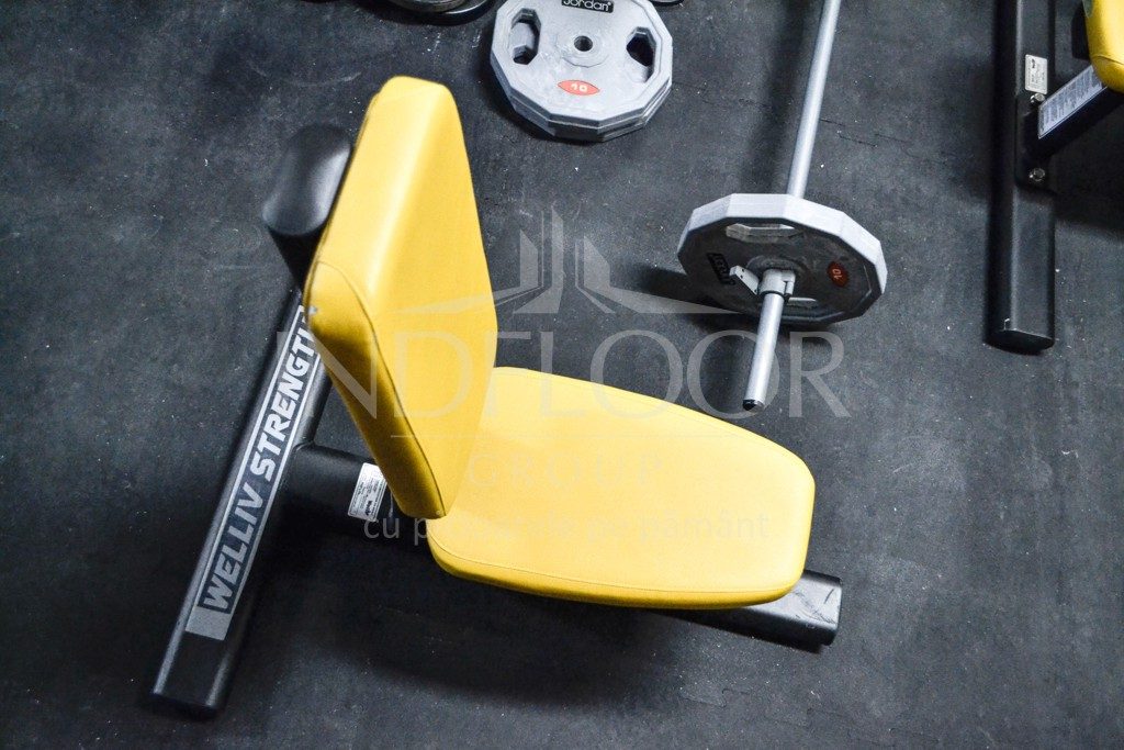 dale fitness